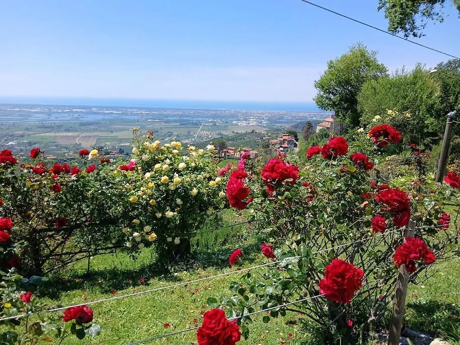 Casa Panoramica Sulle Colline Di Viareggio Villa Montigiano 0*,