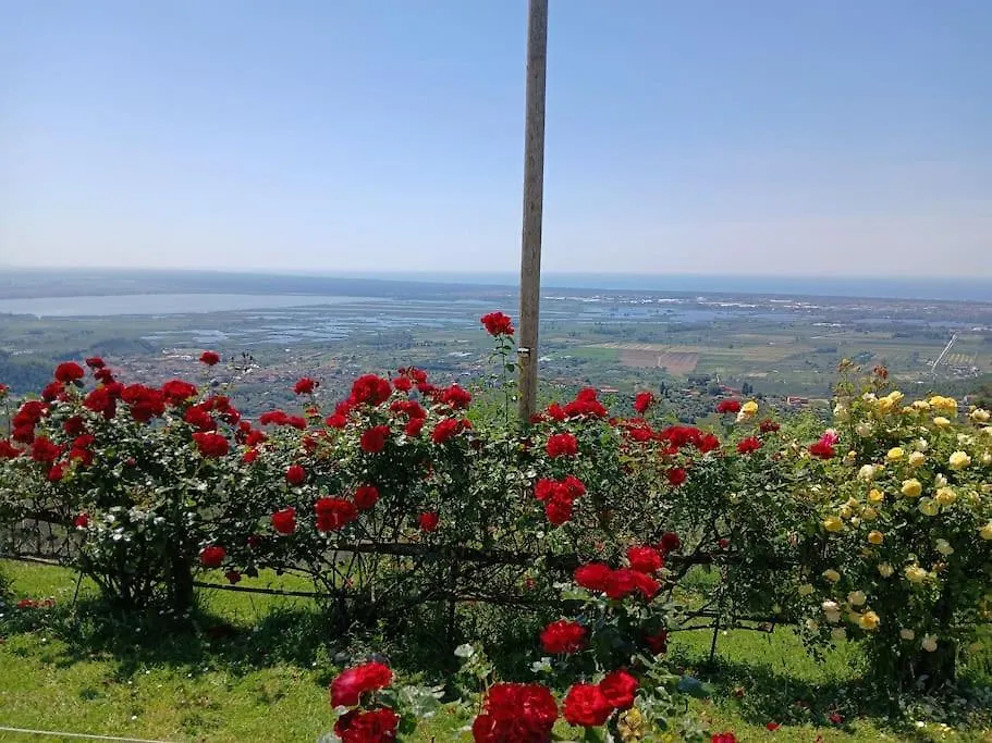 Casa Panoramica Sulle Colline Di Viareggio Villa Montigiano